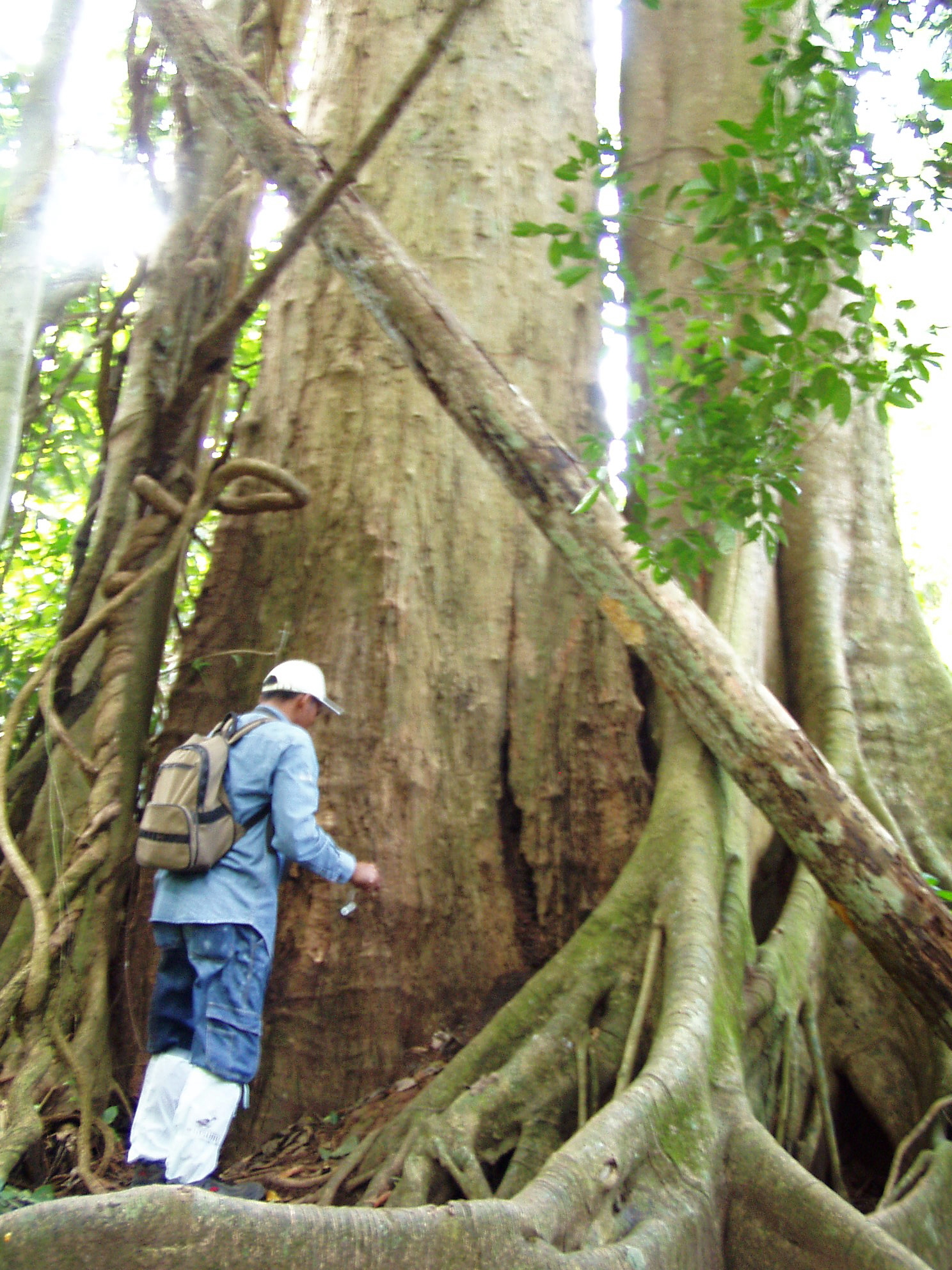 Khao yai.jpg