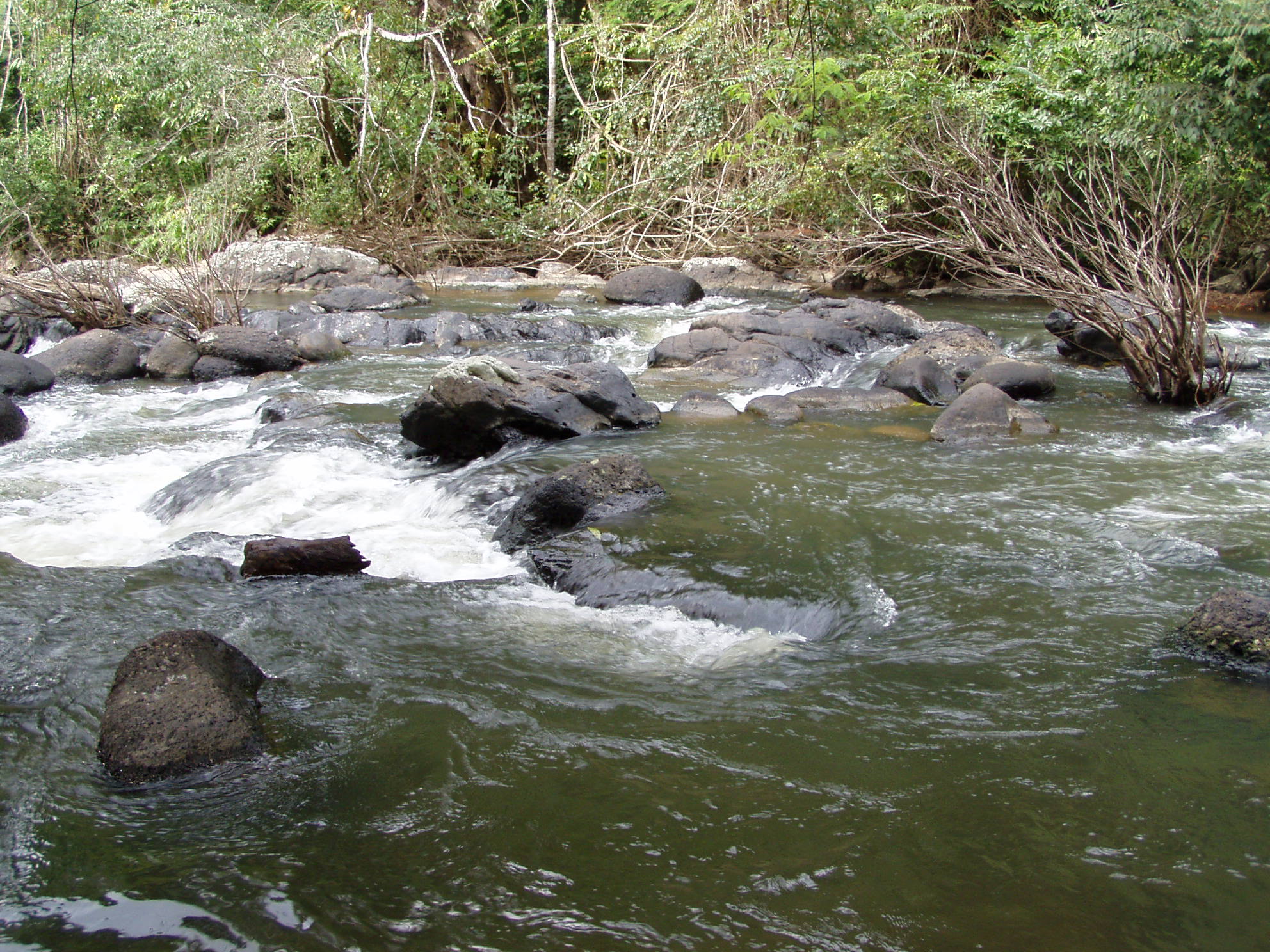 der Pool des Wasserfalls.JPG