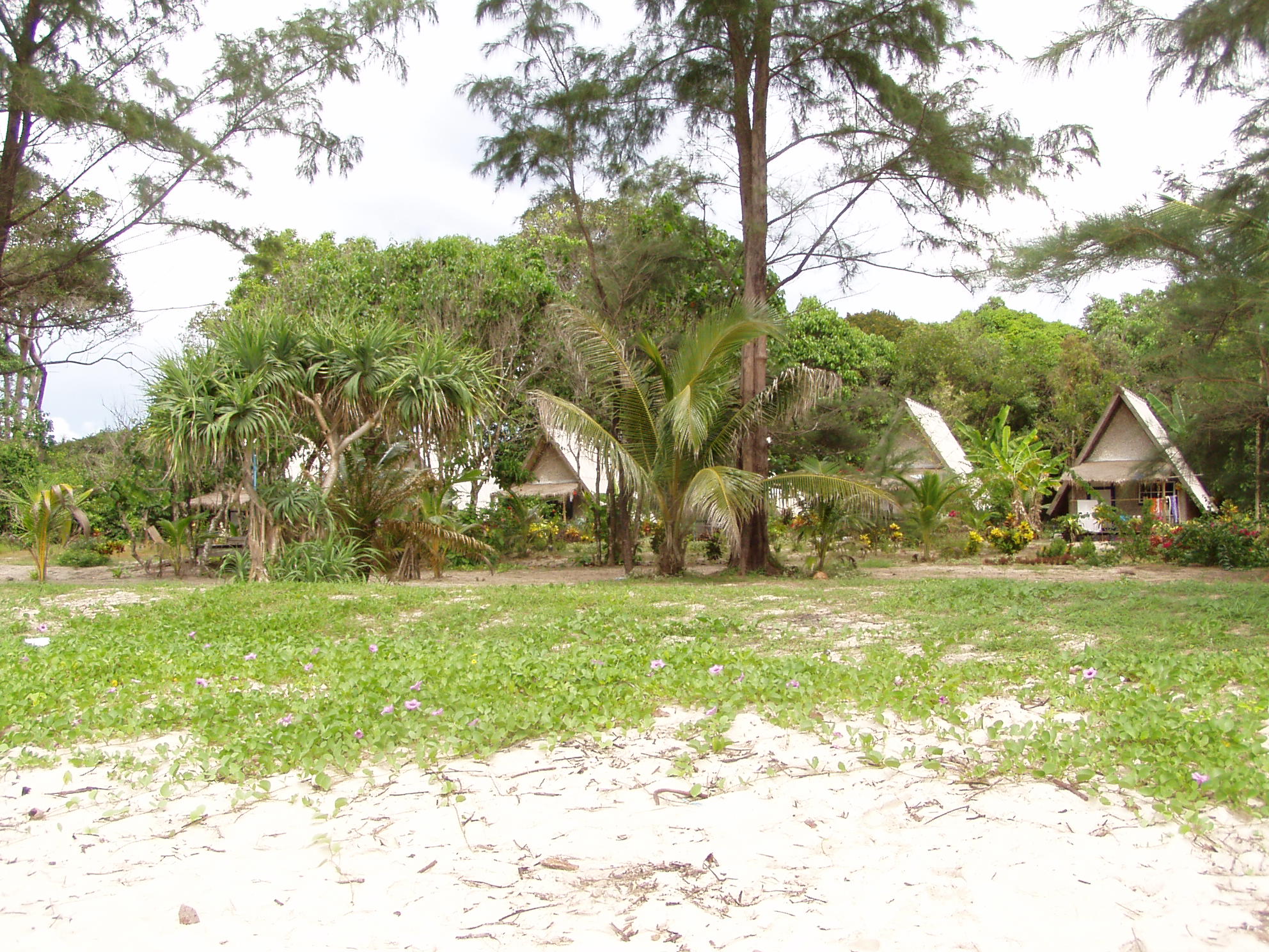 die Bamboo Bungalows in Ko Phayam.JPG