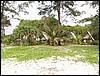 die Bamboo Bungalows in Ko Phayam.JPG